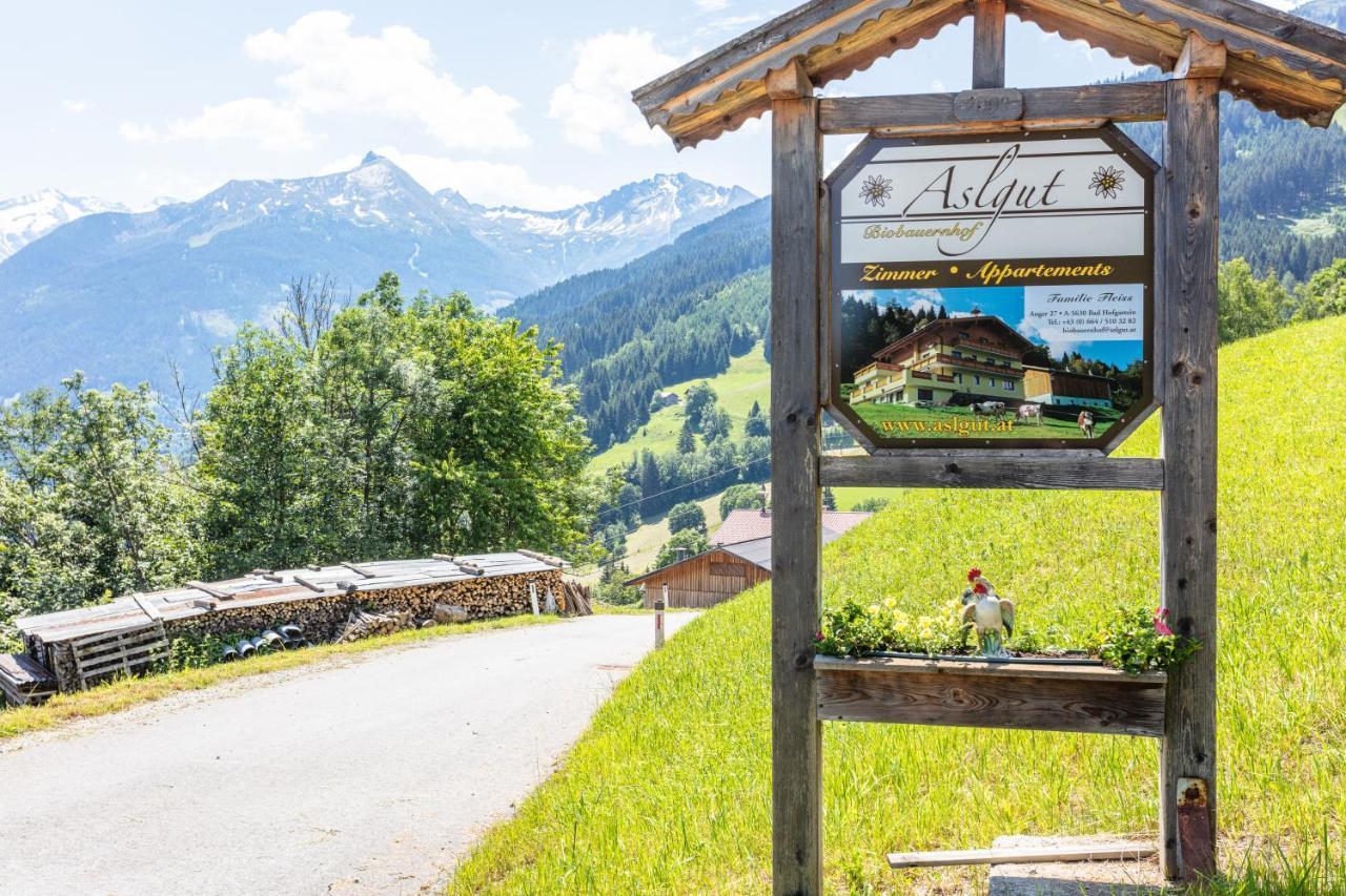 Biobauernhof Aslgut Villa Bad Hofgastein Exteriör bild